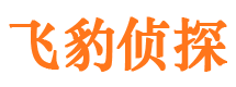 红桥市私家侦探